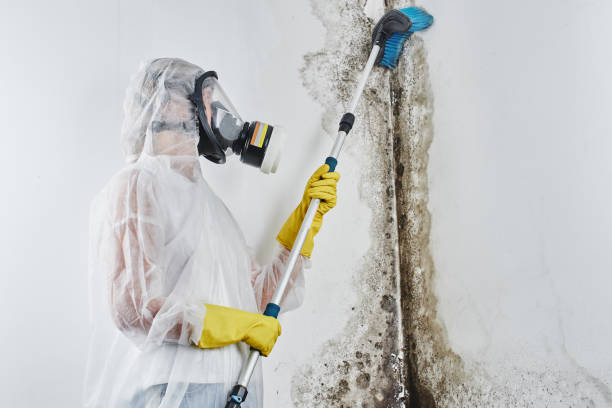 Water Damage Restoration in Crimora, VA