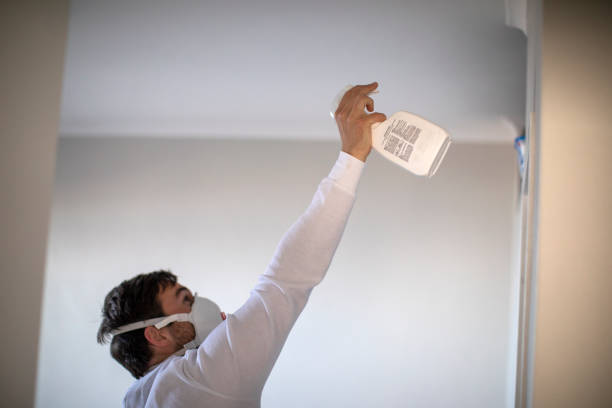 Best Water Damage Restoration  in Crimora, VA